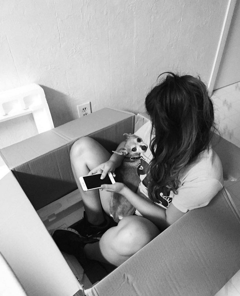 oremac7's tweet photo. Yesterday I lost my fur baby, thank you for being by my side since ‘08. I couldn’t have asked for a better bestie, I loved all of our adventures together. Thank you to all of our friends that were kind &amp; playful to my chacha. My heart is shattered…🥺🤍🕊 https://t.co/S5hsstuFqW