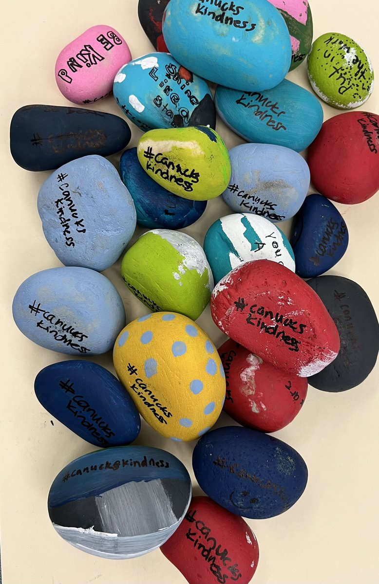 _Holly_Friedman's tweet photo. Somerset Dragons made kindness rocks to spread some cheer. Be on the lookout for them around North Plainfield and if you find one, tag us with the #canuckskindness @SomersetDragons #dragonsarekind https://t.co/ysAk0FFOtA
