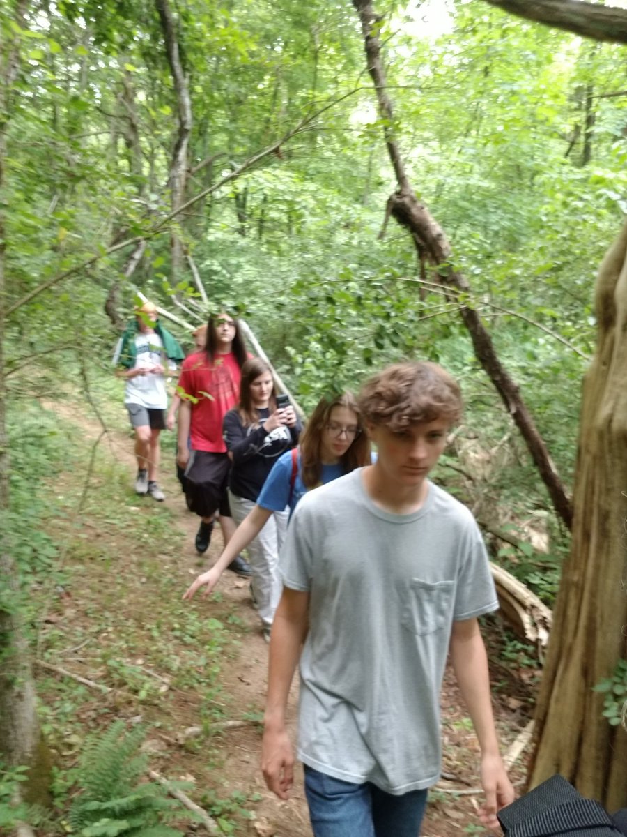 @kbrattenfrancis tweet media