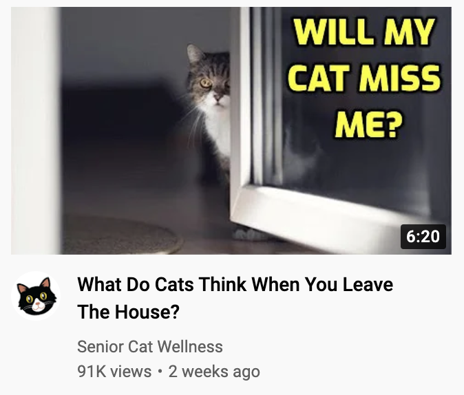 spacebeverage's tweet photo. youtube recommended really targeting my emotions with this one. 4 weeks til we're reunited <3 https://t.co/jQj7fDH0mg