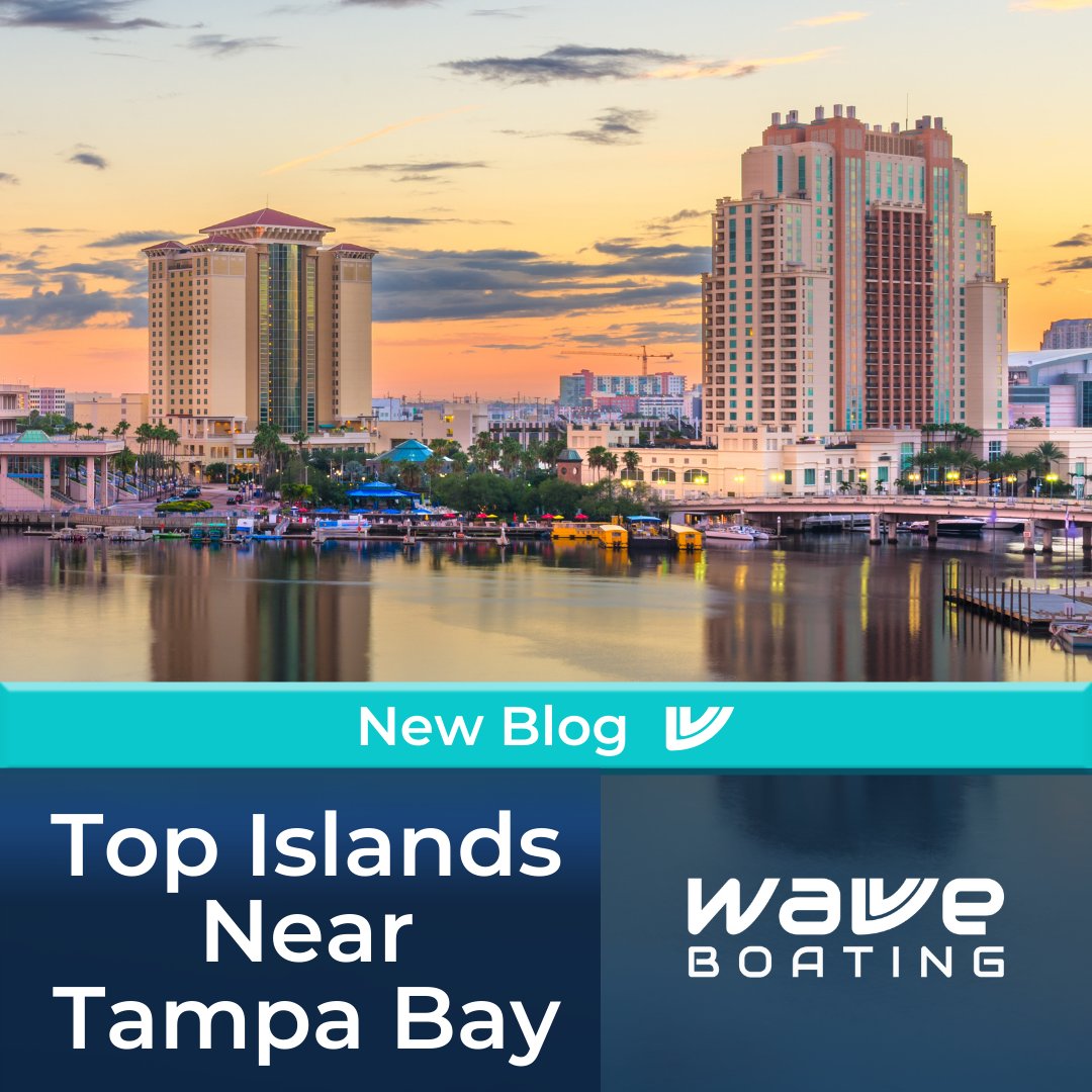 Wavve Boating tweet media