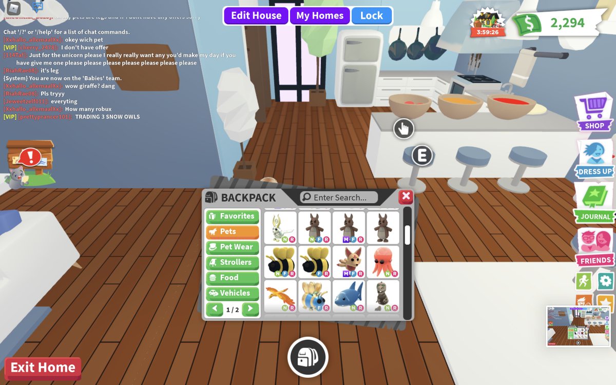 RoyaleRii's tweet image. Selling my Adopt Me AM pets for USD
ONLY USING PAYPAL
Needing money for college and saving up hihi
You have to offer, I don't have prices! 
#roblox #sellingroblox  #robux #robloxusd #robloxtrading #robloxtrades #amtrading #adoptmepets #ampets #adoptmeselling #adoptmetrading