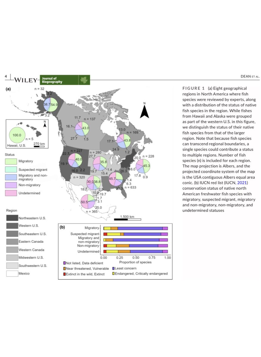 SolomonRDavid's tweet photo. Highly diverse group of fishes show a range of migratory life histories! North America was divided up into regions, each reviewed by a team of experts, led by @PHishingDean🐟

Happy to be on team contributing to this conservation resource!https://t.co/TZ5jg4Jpj8 [DM for paper]👍 https://t.co/WQD8sGdoqA