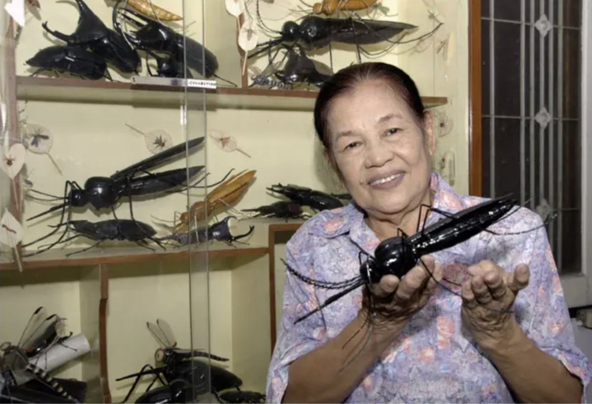 Happy #AAPIHeritageMonth! Today’s #WCW goes to Thai entomologist Rampa Rattanarithikul. 🐛 🔬 She helped identify over 420 mosquito species, discovered 23 species, and had two species named after her: Anopheles rampae and Uranotaenia rampae. nyti.ms/39vgYnm