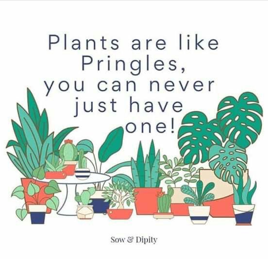 Just for you <a href="/DaLexi1/">Alex 🐝</a>