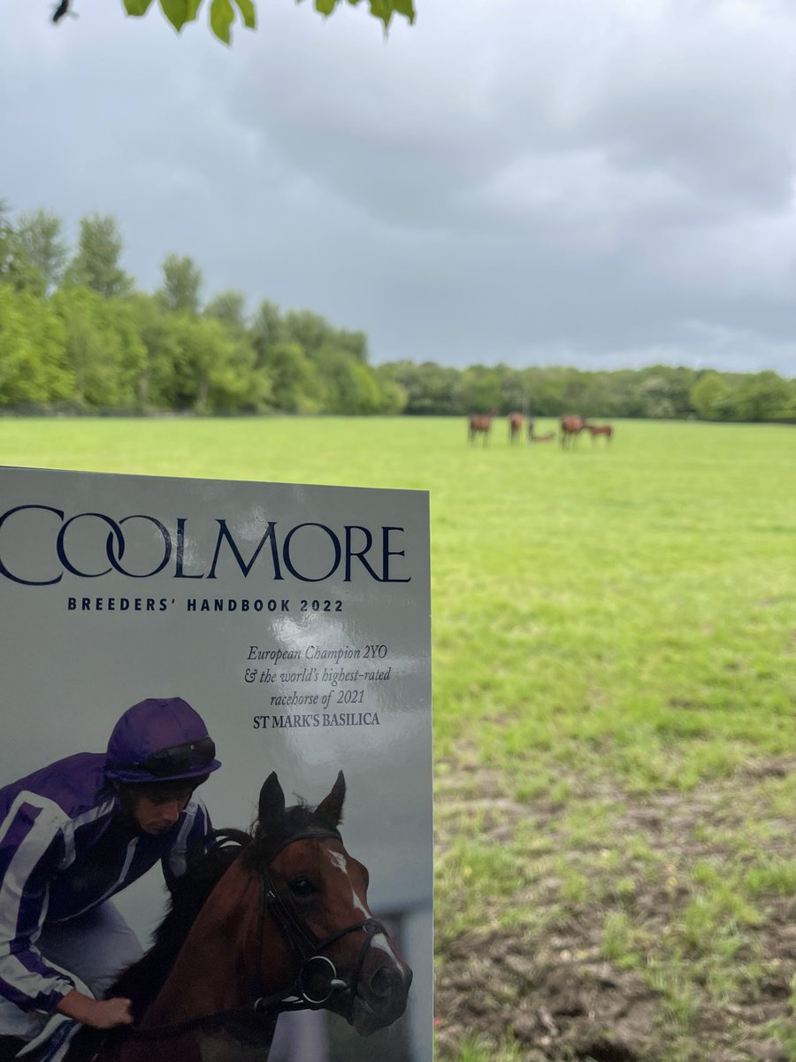 salrahoomi's tweet photo. I had a special time in @coolmorestud during my visit in Ireland  Thank you for your kindness https://t.co/IZMxNgoMGt