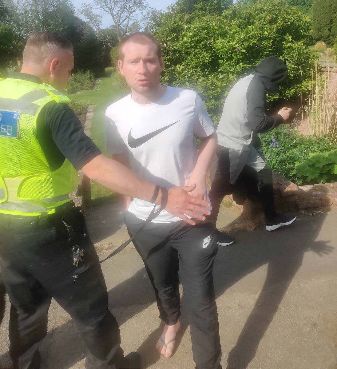 steven wilkinson tweet media