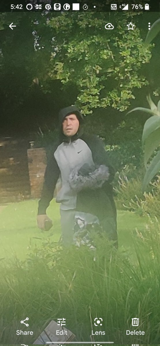 steven wilkinson tweet media