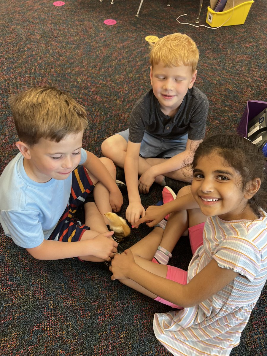KellisonKinder's tweet photo. Last day with the chicks!!!🐥 https://t.co/PqTWwG45fk