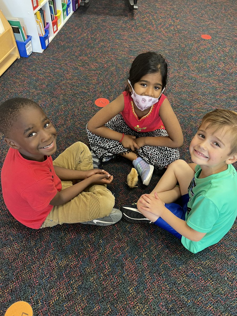 KellisonKinder's tweet photo. Last day with the chicks!!!🐥 https://t.co/PqTWwG45fk