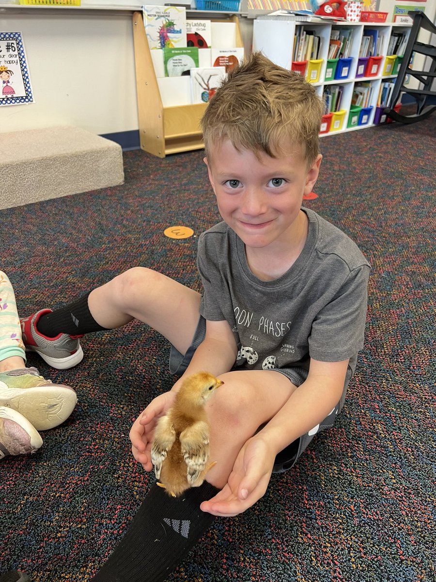 Last day with the chicks!!!🐥