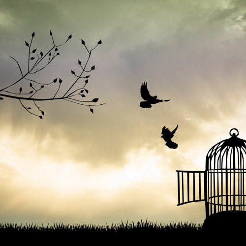 مزون .. tweet media