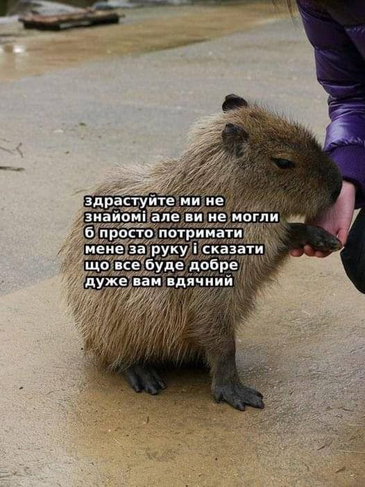 wtf_captain's tweet photo. я https://t.co/cIq5O2smYw