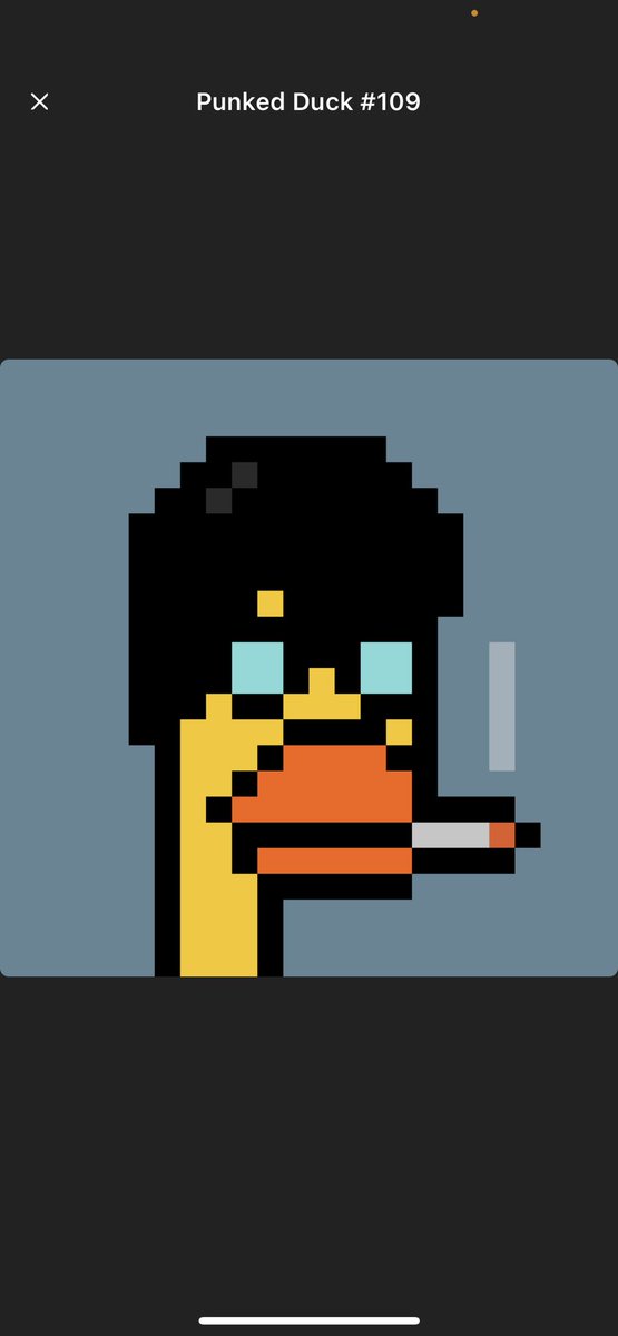 JanRamirezz's tweet photo. @PunkedDucks solid project excited for whats to come!! 🦆🦆 https://t.co/JOK6kBLlAZ