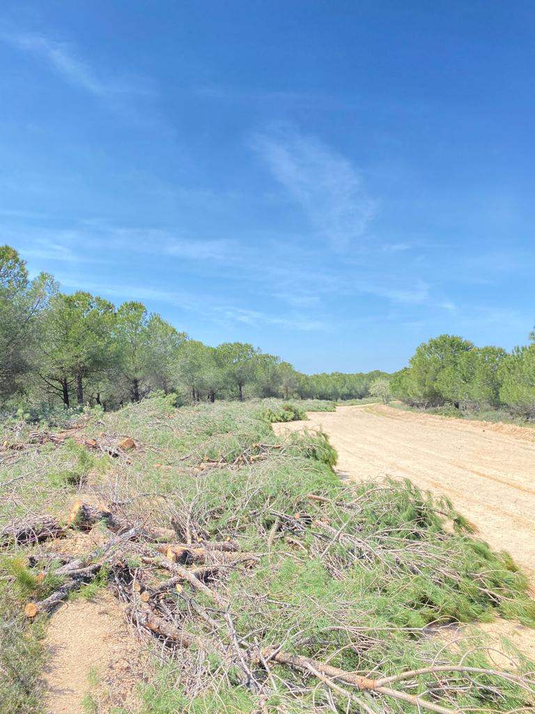 Biga Orman İşletme Müdürlüğü Karabiga Orman İşletme Şefliğinde yangın emniyet şeritleri ve yollarında  2022 yılı yangın sezonu önlemleri alındı.