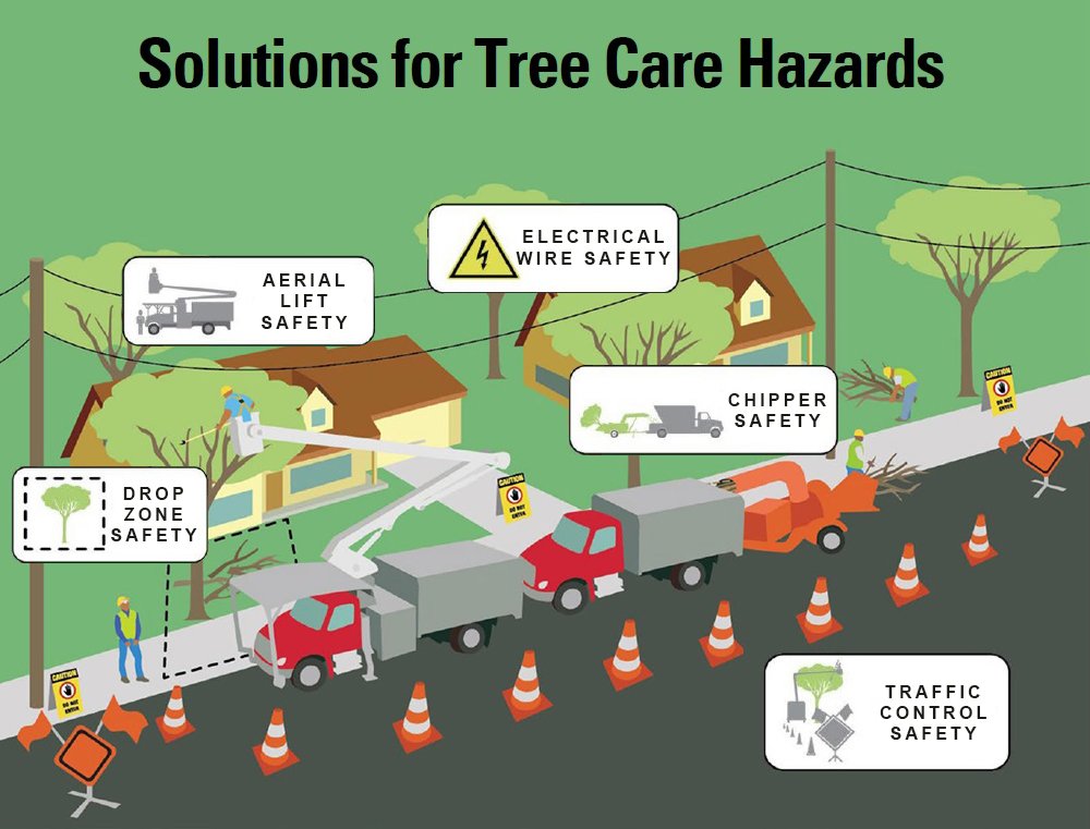 Tree care workers are exposed to hazards including falls, electrocution and being struck by debris or passing vehicles. Recognize the dangers and how to prevent them: osha.gov/sites/default/…