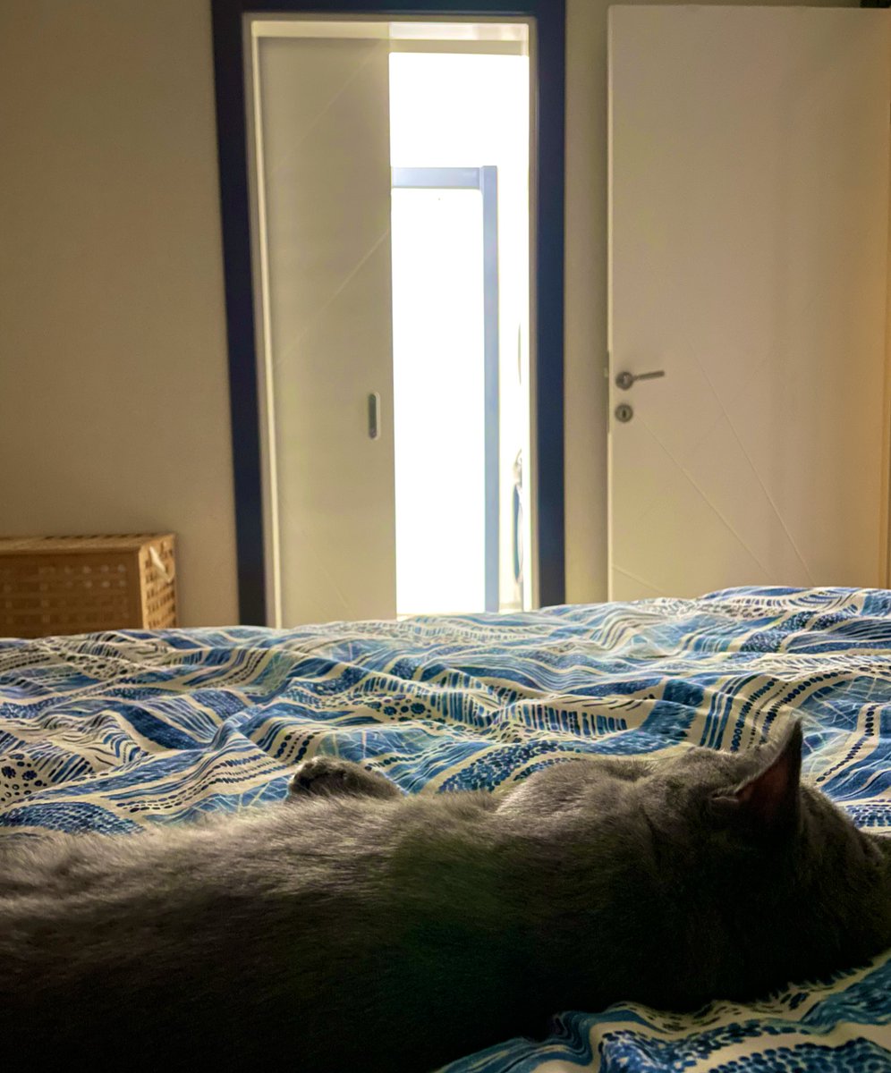 şimdi ben seni nasıl uyandırmaya kıyayım da kendim yatayım? 😽