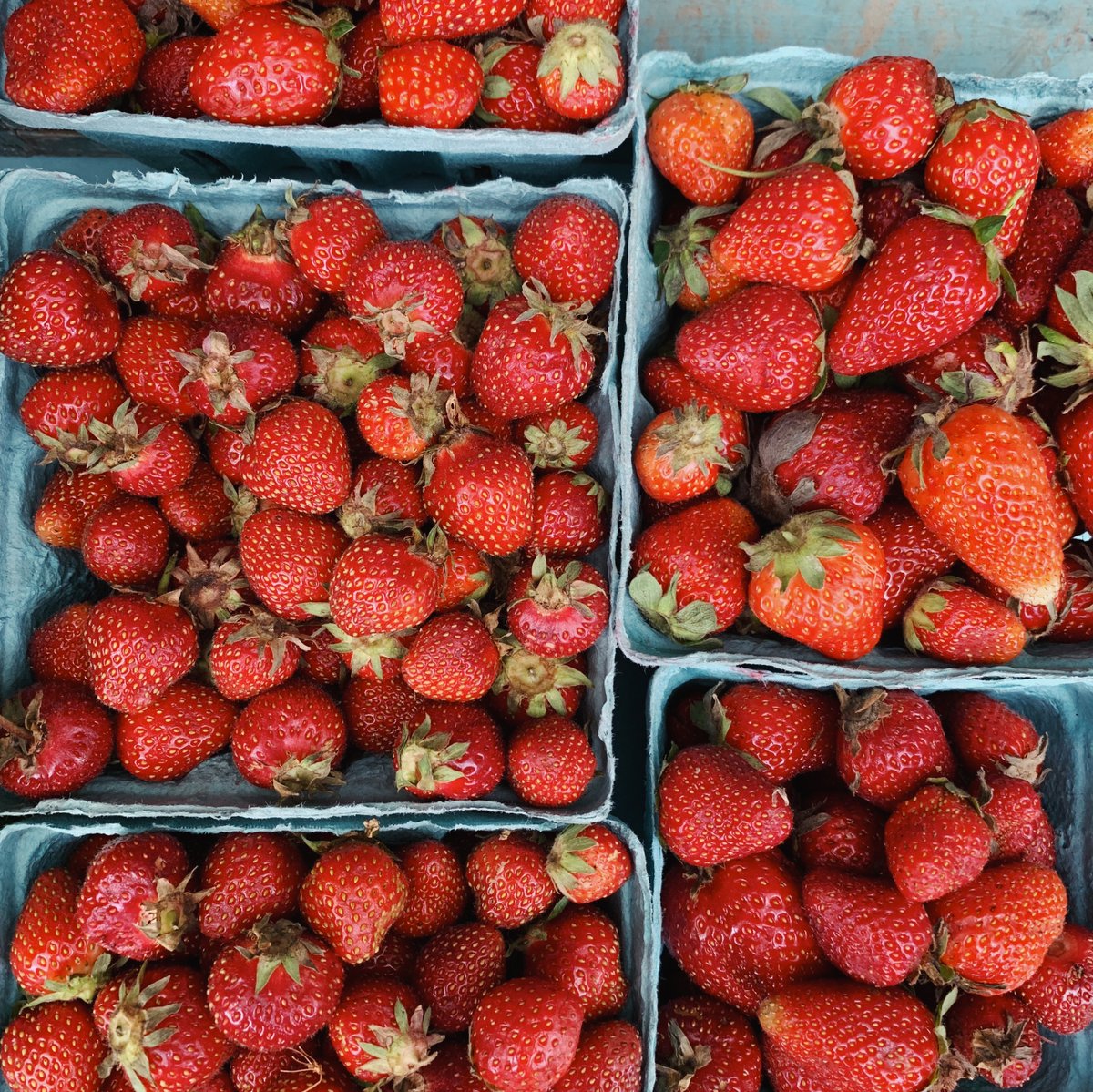 Love__Local's tweet photo. Find your farmer's market on Love Local. We feature a nationwide directory of markets making it as easy as possible to find locally grown food. Support #localfarms and eat #farmfresh food. 

https://t.co/dt3J1LePE7

#eatlocalfood #locallygrown #shopsmall #lovelocal https://t.co/wphgStPot6