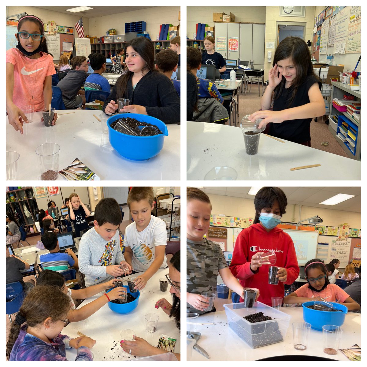 ms_devitto's tweet photo. We had a great time planting today!! Can’t wait to watch these seeds grow. ☀️💧🌱@RobertsvilleES @MTPSNJ #science https://t.co/VlWcYxnt40
