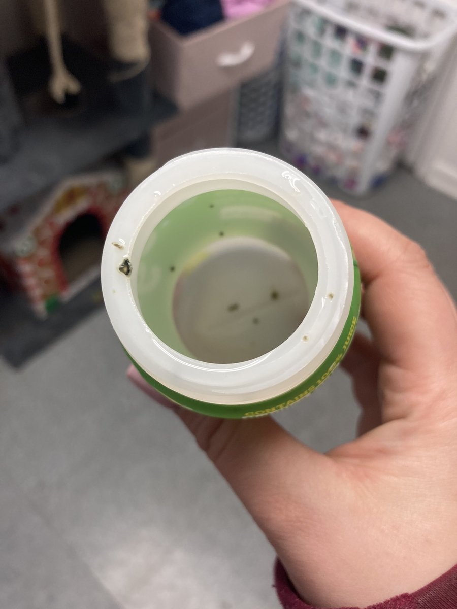 AmberDo45225186's tweet photo. @good2growdrinks want to tell my why I bought my daughter one of your drinks, then when she’s done I go to rinse it out to throw it out and THERES MOLD IN THE CUP SHE JUST DRANK OUT OF?!?!?!? https://t.co/ByCCJajq29
