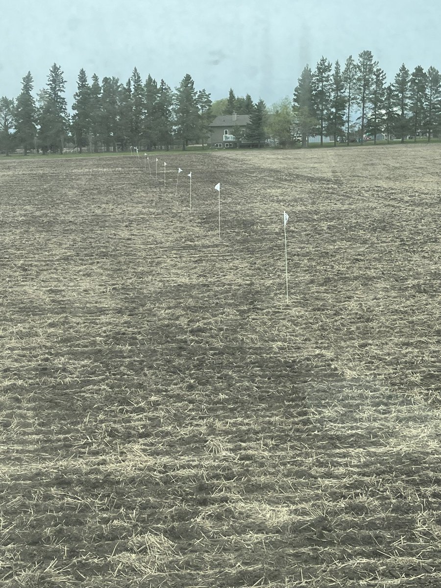 The <a href="/BASFAgSolutions/">BASF Agricultural Solutions Canada</a> DST plots were seeded again 2day before the rain. Im looking forward to the view off my deck w/ a cold one again this summer. 
5 Invigor hybrids as well as <a href="/DEKALB_Canada/">DEKALB Canada</a> &amp; <a href="/PioneerSeedsCA/">Pioneer Seeds Canada</a>.
Thx 2 <a href="/HaydenTremblay8/">Hayden Tremblay</a>, <a href="/LoganSnow09/">Logan Snow</a> &amp; <a href="/TaylorIwasiuk/">Taylor Iwasiuk</a>! 
#onfarmtrials