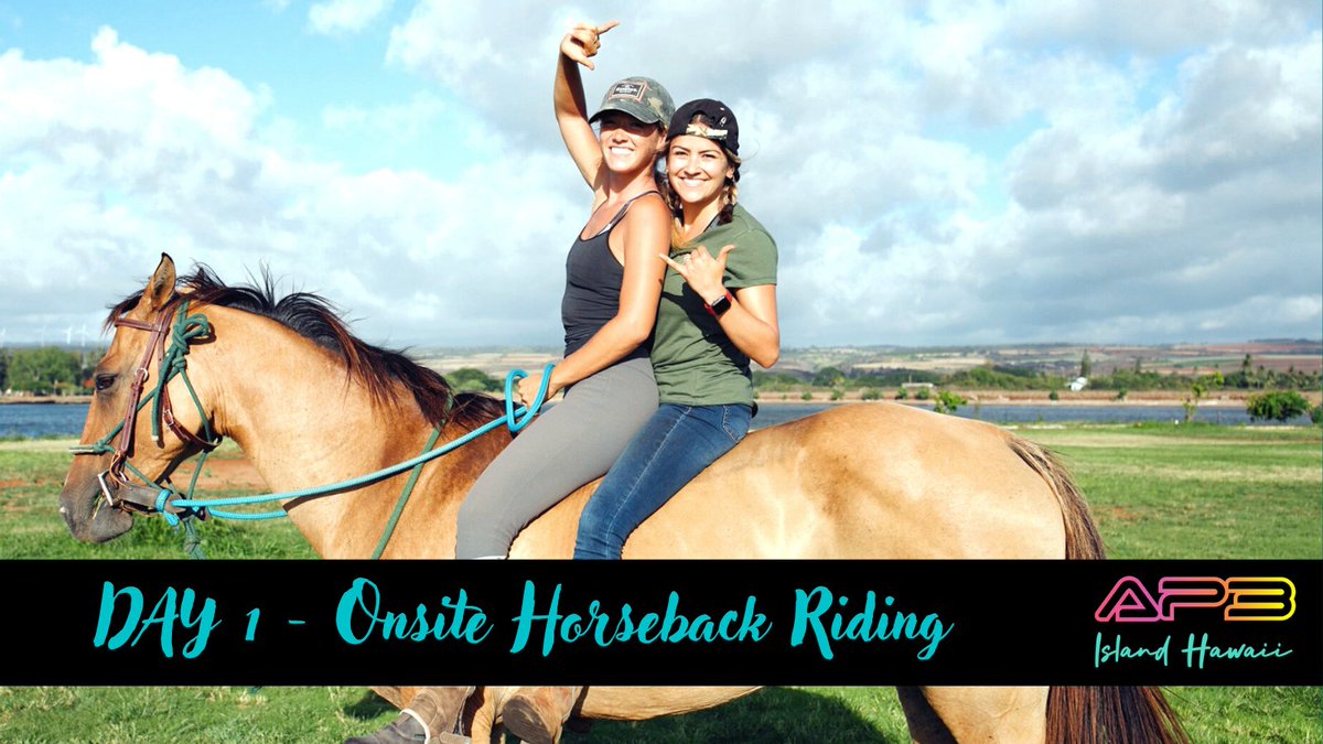 Horseback riding as an IRL perk for all holders? Beachfront trail rides, riding lessons and photo shoot opportunities with a Hawaii sunset backdrop. Welcome to the ultimate destination vacation NFT experience! 

#AP3 #NFT #Utility #Hawai #NorthShore #Horseback #Ap3IslandHawaii