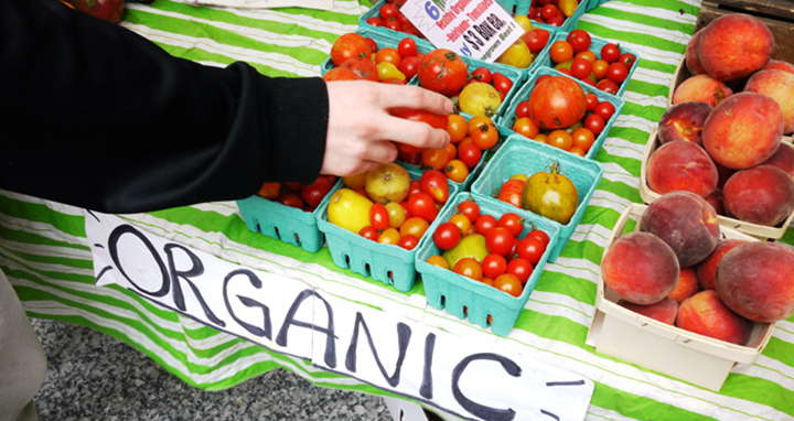 OFRF's tweet photo. Certified organic & transitioning to organic ag producers can now apply for two USDA programs, #OTECP and #OCCSP, that help cover organic certification cost & other related expenses. Apps due 10/31/22. https://t.co/lrUY4Pn501 https://t.co/nf6sclil24