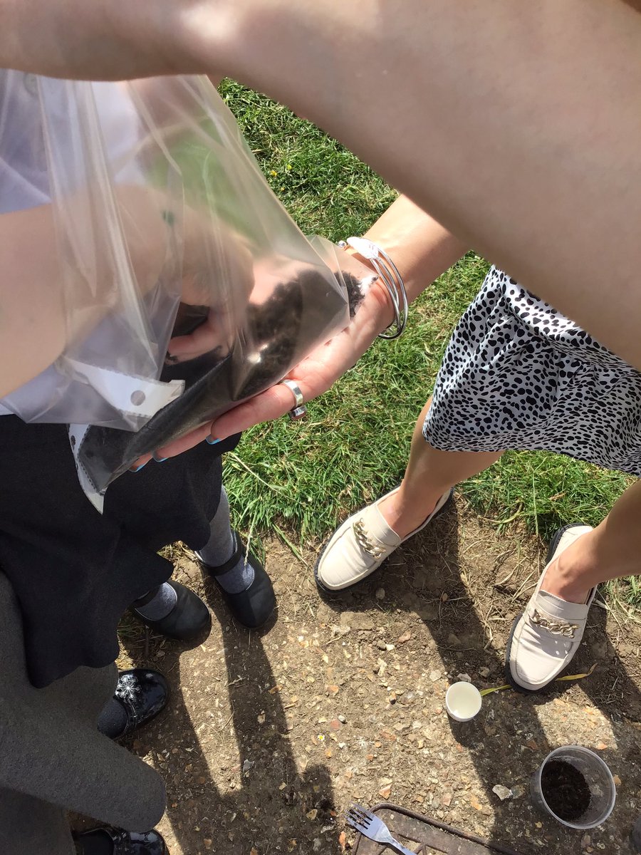 MissEllisClover's tweet photo. Today in science we planted some beans. We are going to observe them and see how they grow🌱🪴 https://t.co/F1Fj3RG607