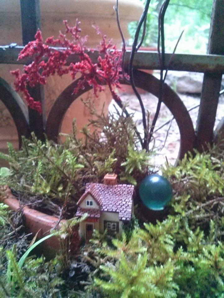 My secret garden. 
#Gnomegarden