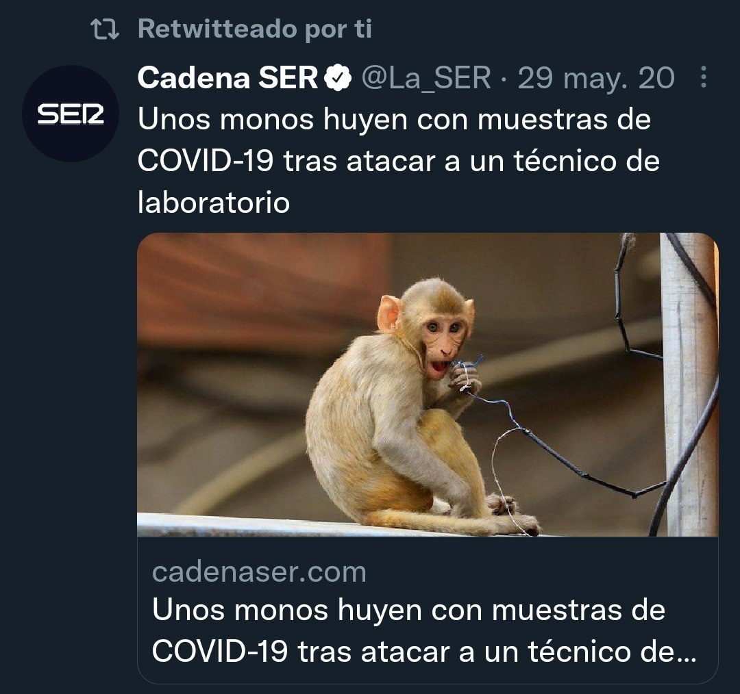 Lnf312's tweet photo. Esto de la viruela del mono tardó en llegar https://t.co/69iCeyOB2i