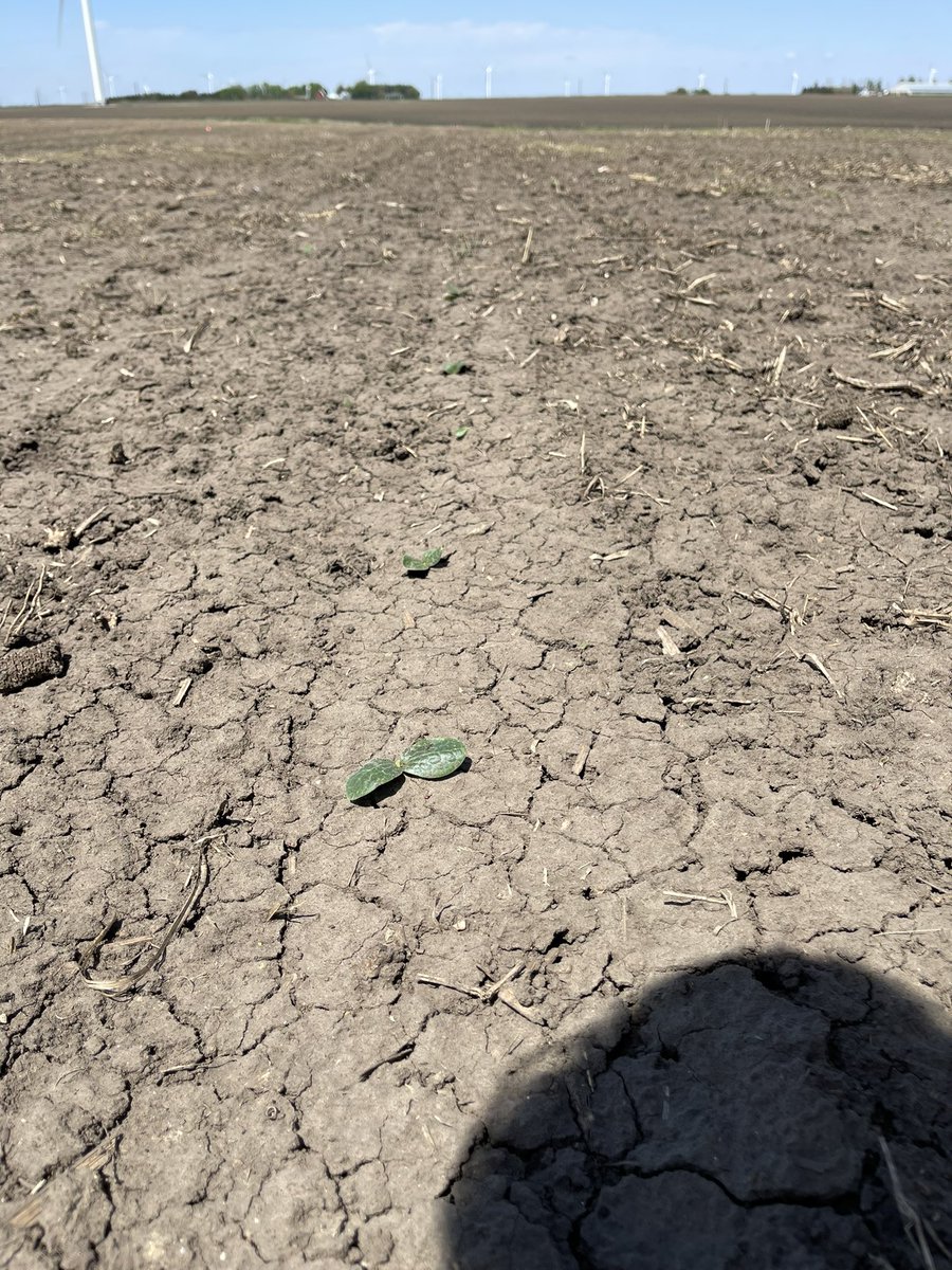 solsmapunkin's tweet photo. In business! 🎃😍 #pumpkinpatch #Plant22 https://t.co/HF85mDdNAd