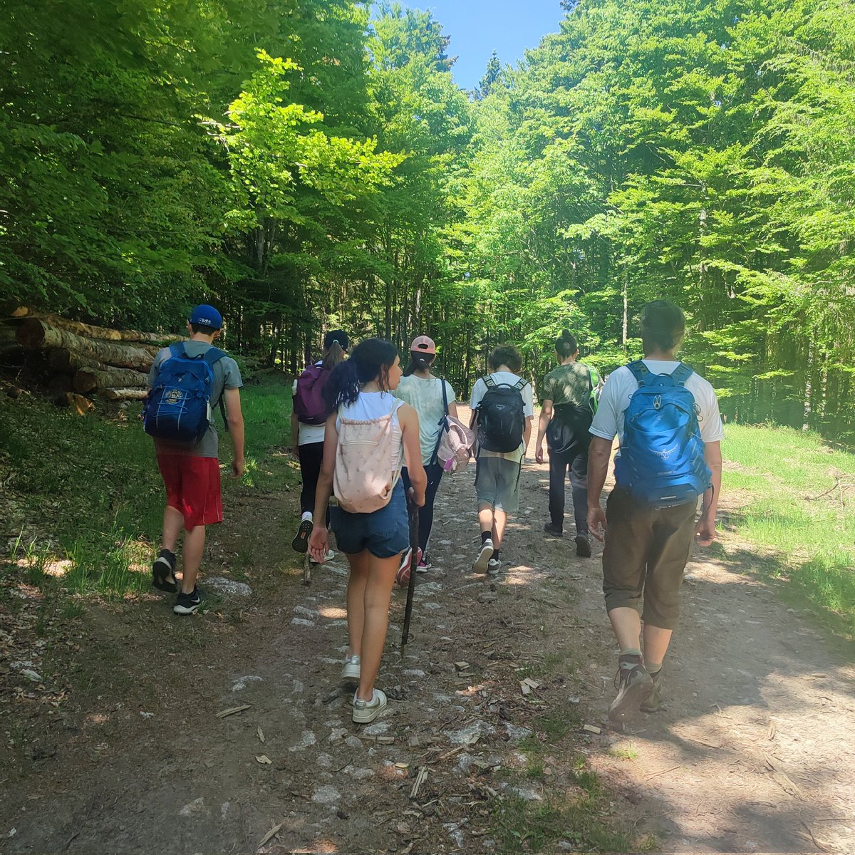 Ch_Toilier's tweet photo. On continue les explorations et les challenges dans les Vosges ! 
#alsace2022  #mslearns https://t.co/t08zvXFy09
