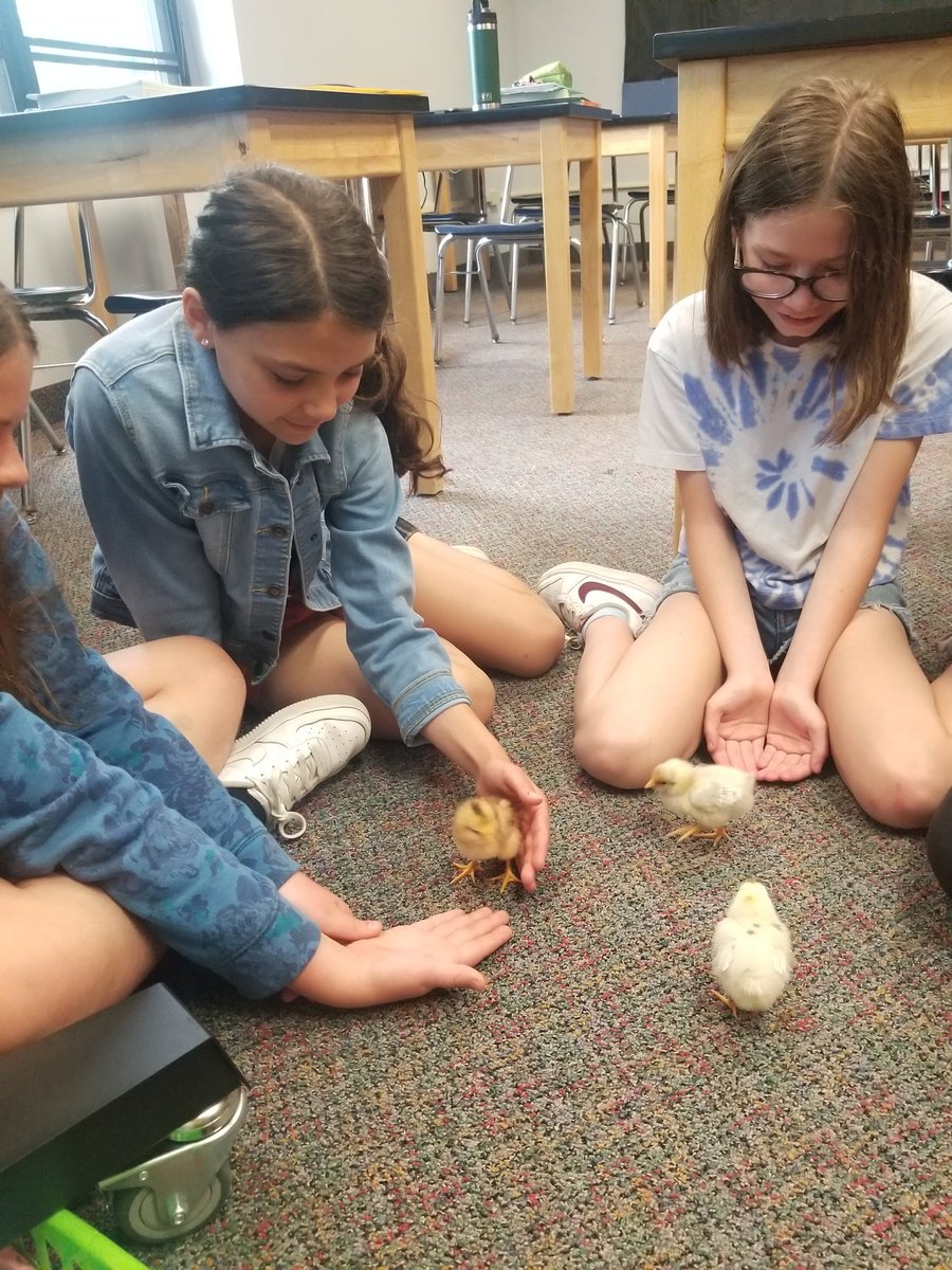 Karen Dreistadt tweet media