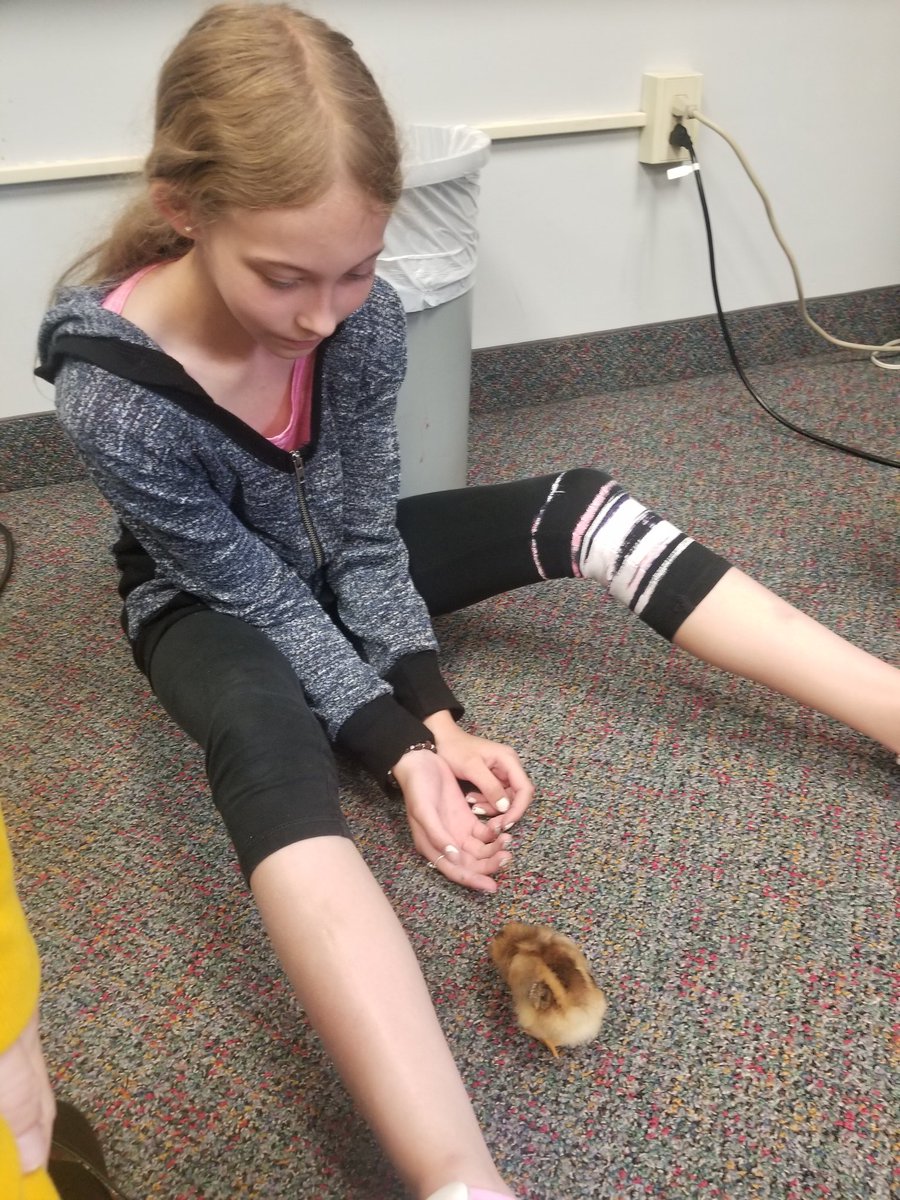 Karen Dreistadt tweet media