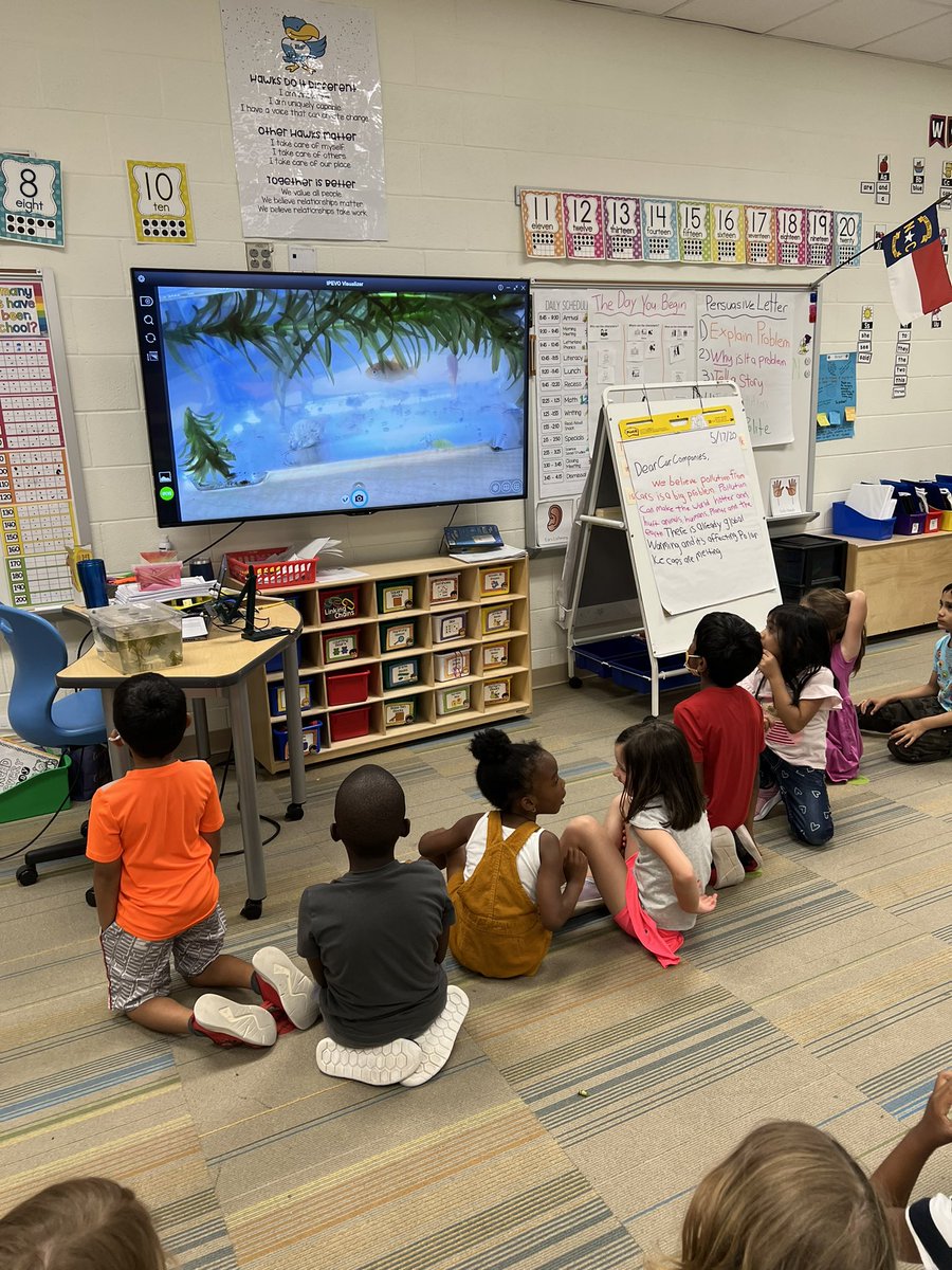 We are so lucky to be exploring real animals in our animal unit. We made so many observations about our goldfish. For example, one student noticed that their eyes are on the sides of their head so they can notice predators.