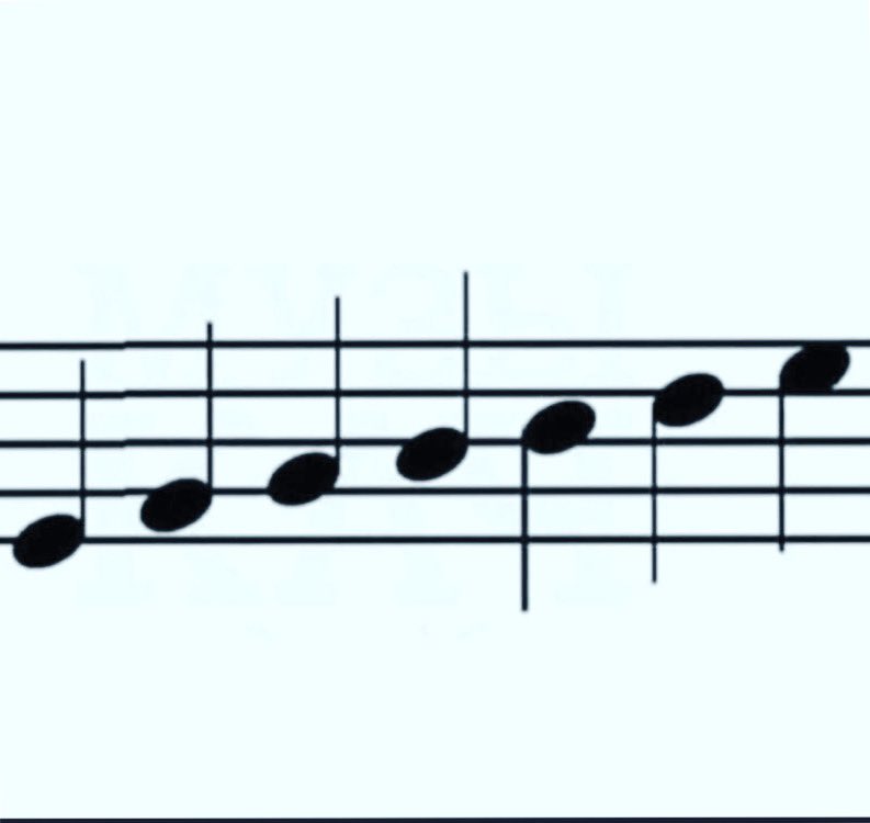 Justine Fischer tweet media