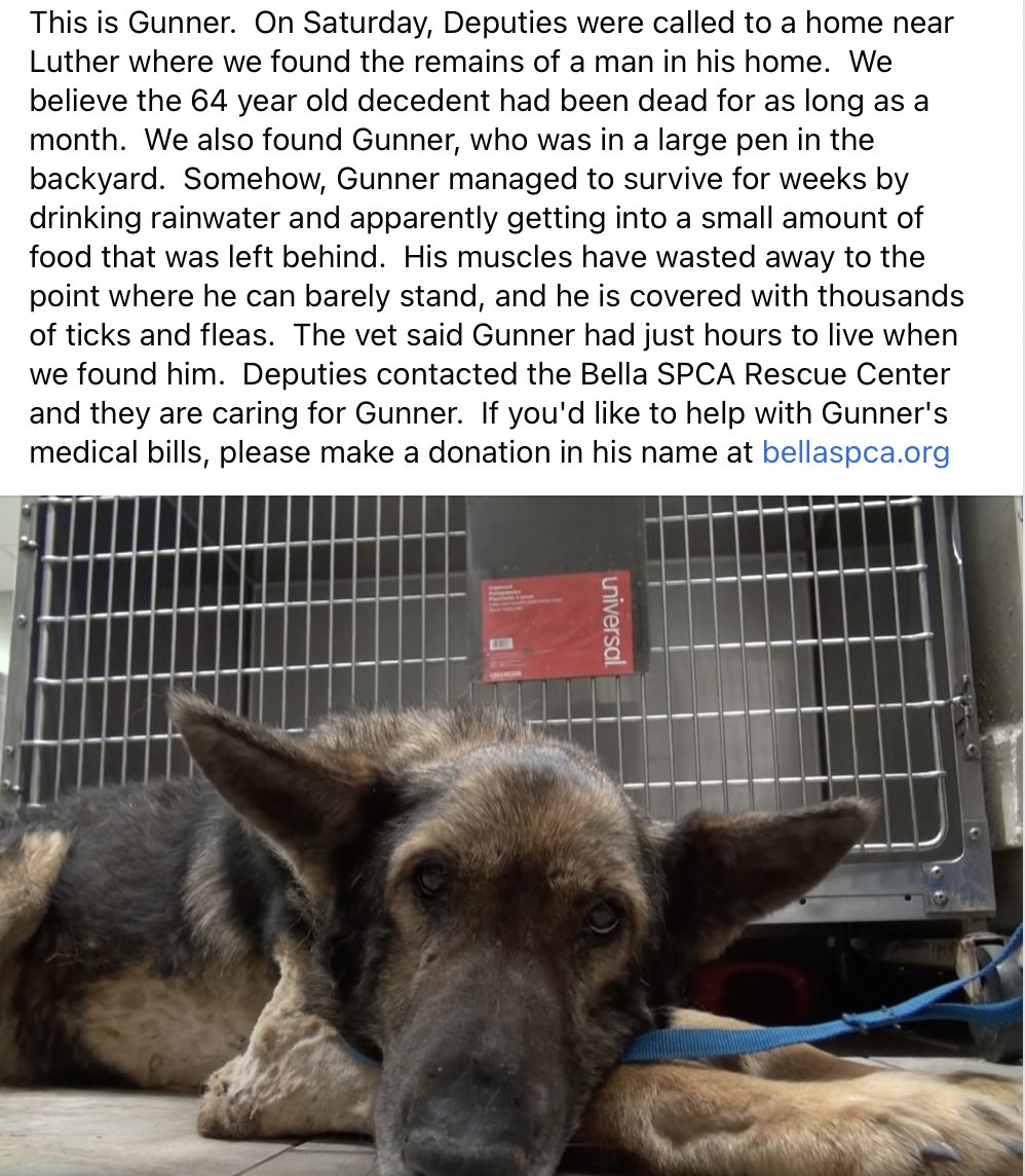 Oklahoma Co. Sheriff tweet media