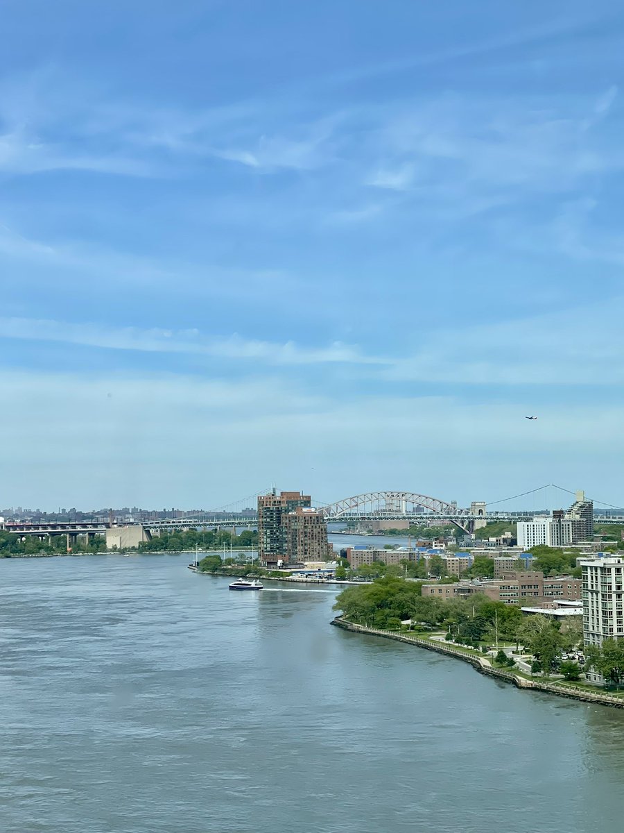 QingyanMa's tweet photo. A Spring day in New York https://t.co/TjXzTr82Jp