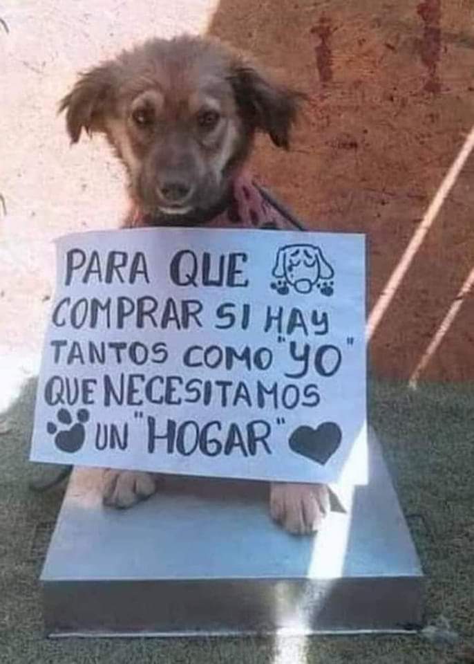 Muy cierto