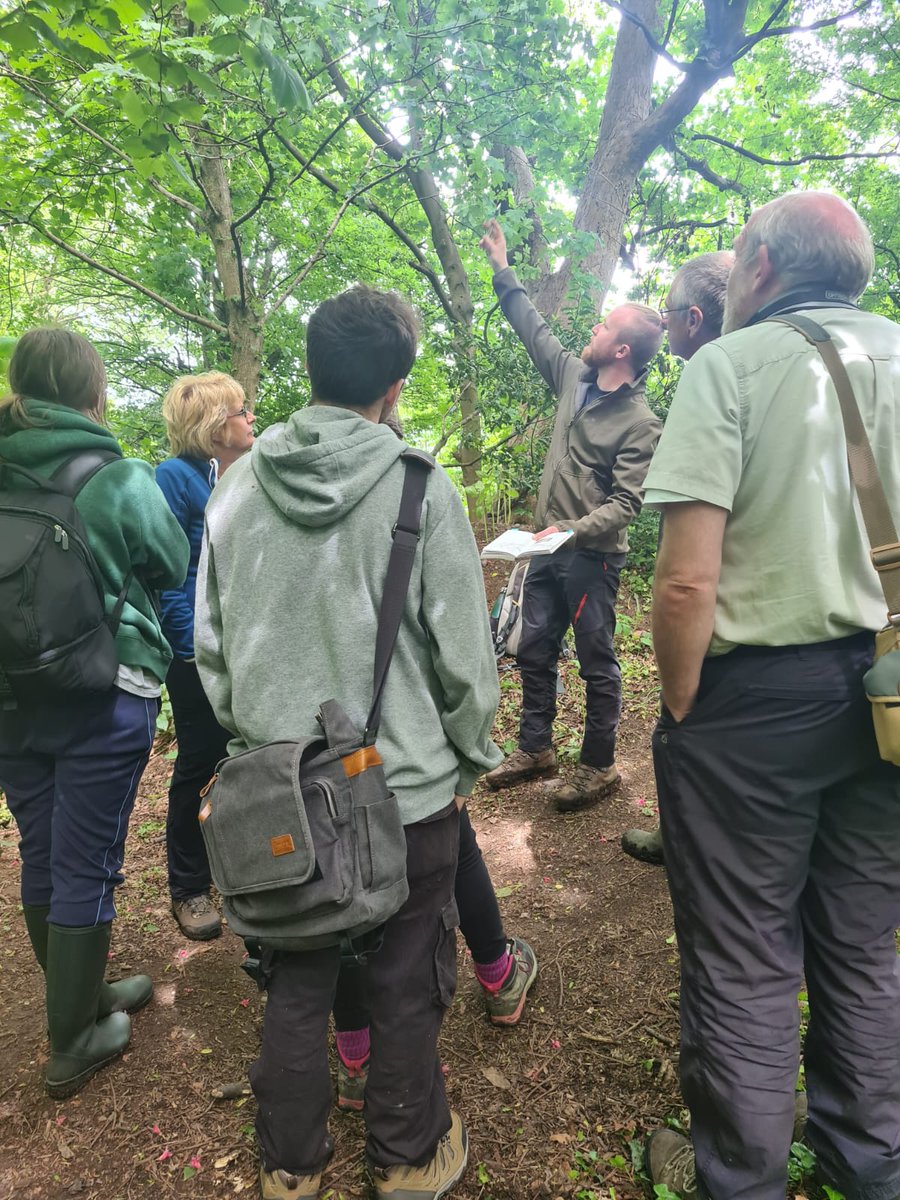 Alastair H-R | Tracker Al tweet media