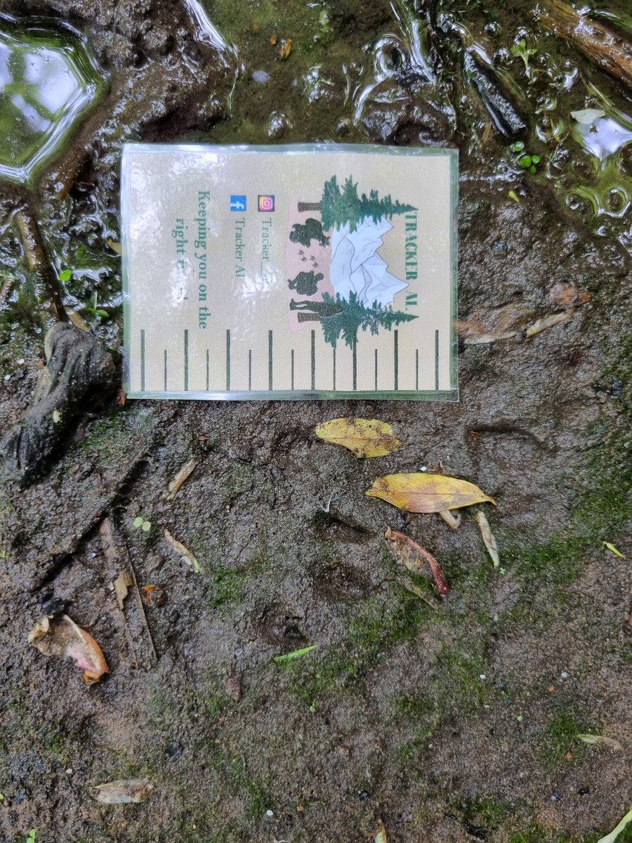 Alastair H-R | Tracker Al tweet media