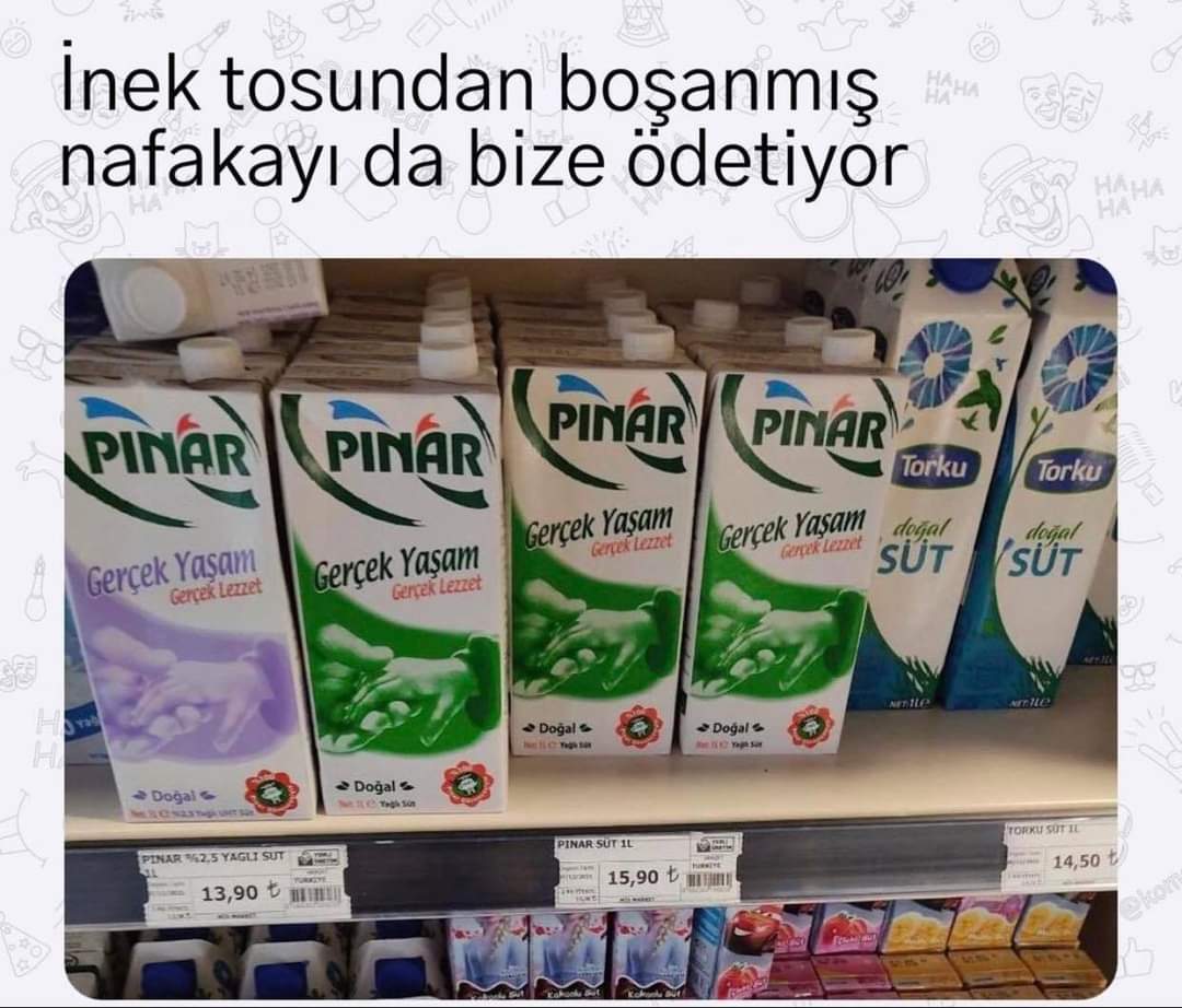 Türk lirası olağanüstü değer kaybediyor fakat çözüm üretecek organ yok. Mango kurut yok simit yiyin olmadı kuzu odamı olmadı soğan kuru ekmek kafaya da çay akıla lüzum yok geçim nasıl olacak bu zamlarla bunu diyeceksiniz 
Affetmiyoruz
#YeterBıktıkBittik 
#YalanaTalanaDoyduk