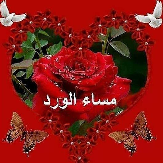 ام نورالعين (@alhwrbnt) on Twitter photo 