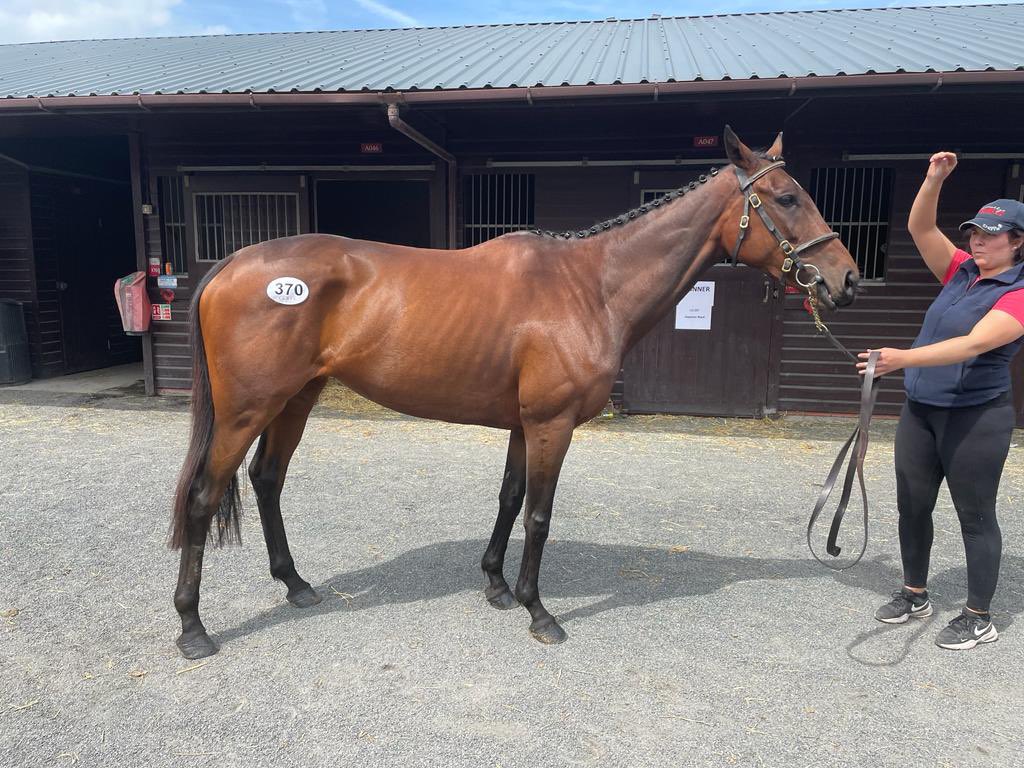 Mitchell Hunt Racing (@racing_hunt) / Posts / X