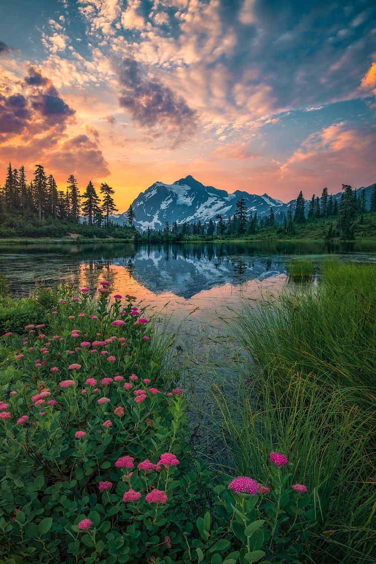 للطبيعة سحر  كأجنحة النوارس..
نعشق ونغرق بالعشق
ونموت عاشقين
🌺🌹♥