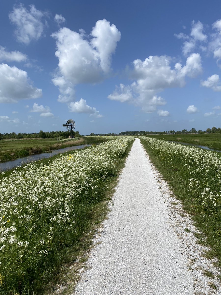 Nederland 🧡 wat ben je gruwelijk mooi ! #nederlandslandschap #natuurmonumenten #gravelbike #buitenishetfeest