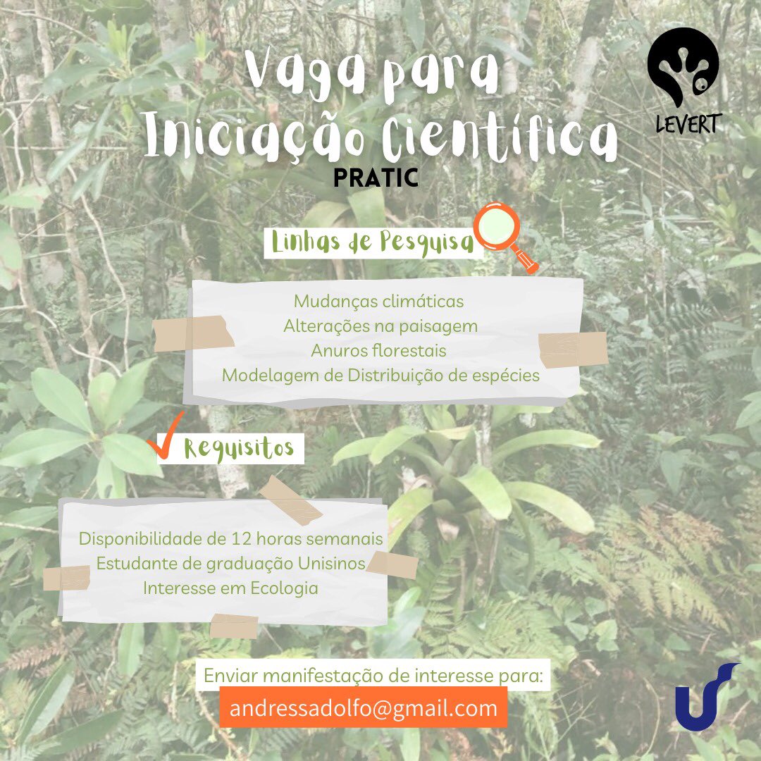 É aluno de graduação da Unisinos, possui 12 horas de disponibilidade na semana e tem interesse em ecologia, mudanças na paisagem e anuros florestais? Corre que essa oportunidade é tua! 

🐸💻🌿💚🌡🗺

Se interessou? Manda um e-mail para andressadolfo@gmail.com