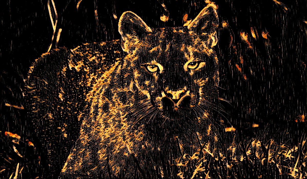 JimmysWorkspace's tweet photo. Panther
https://t.co/WNZN1KqUjx

#NFTs #nftcollectors #NFTCollection #NFTCommunity #nftart #Opensea https://t.co/QgTgnVcPXP