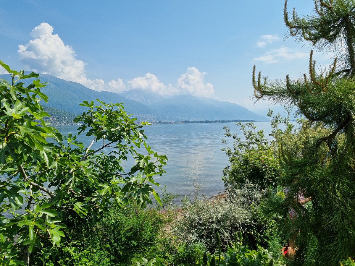 AmyandaFairy's tweet photo. Brissago Island, Ticino, Switzerland

#Brissago #Ticino #Switzerland #nature #flowers https://t.co/tMGvkHLE2E