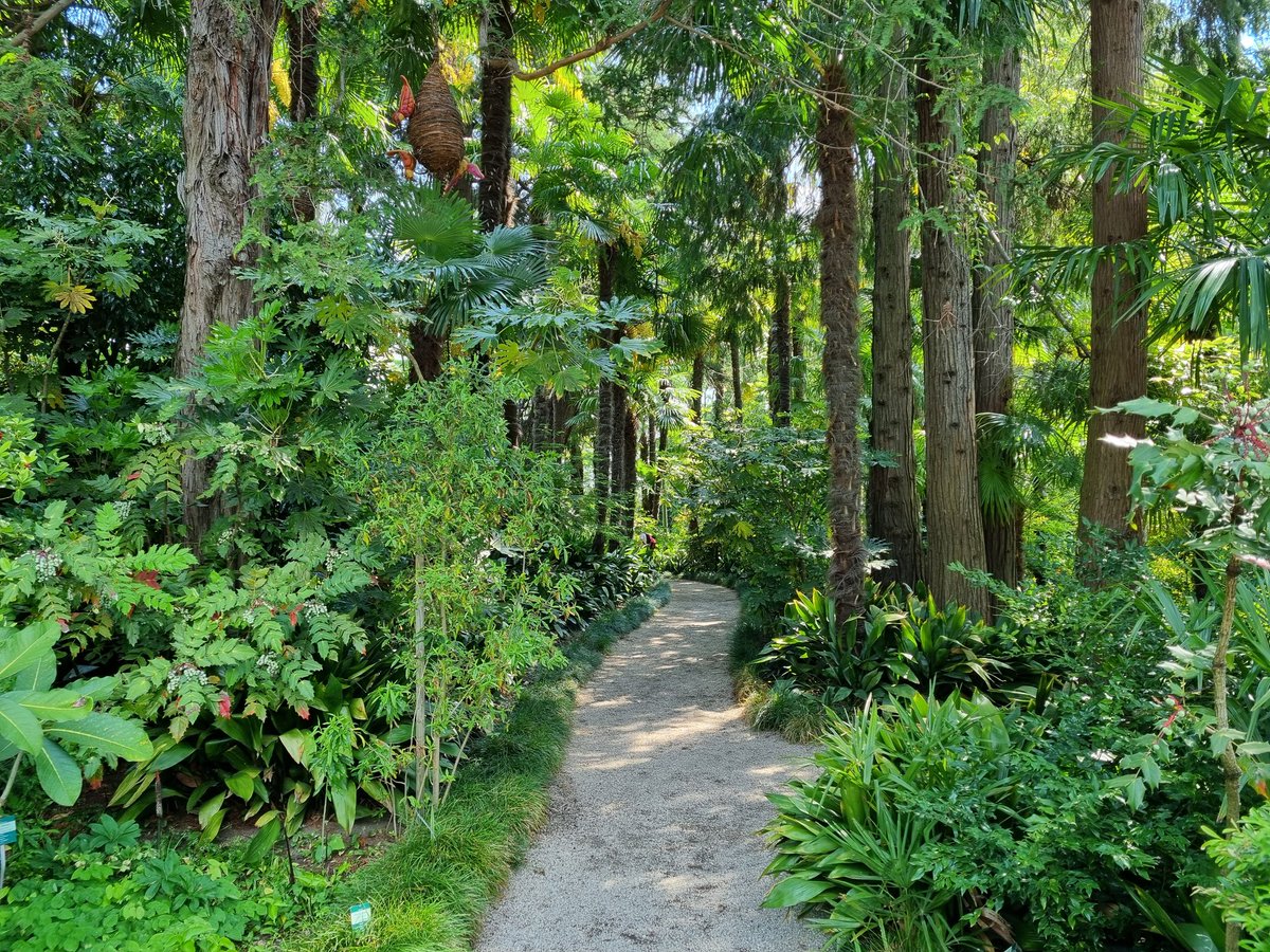 AmyandaFairy's tweet photo. Brissago Island, Ticino, Switzerland

#Brissago #Ticino #Switzerland #nature #flowers https://t.co/tMGvkHLE2E